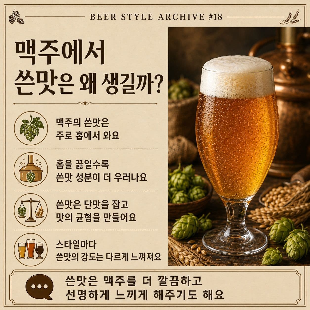 맥주에서 쓴맛은 왜 생길까? 홉과 쓴맛의 역할