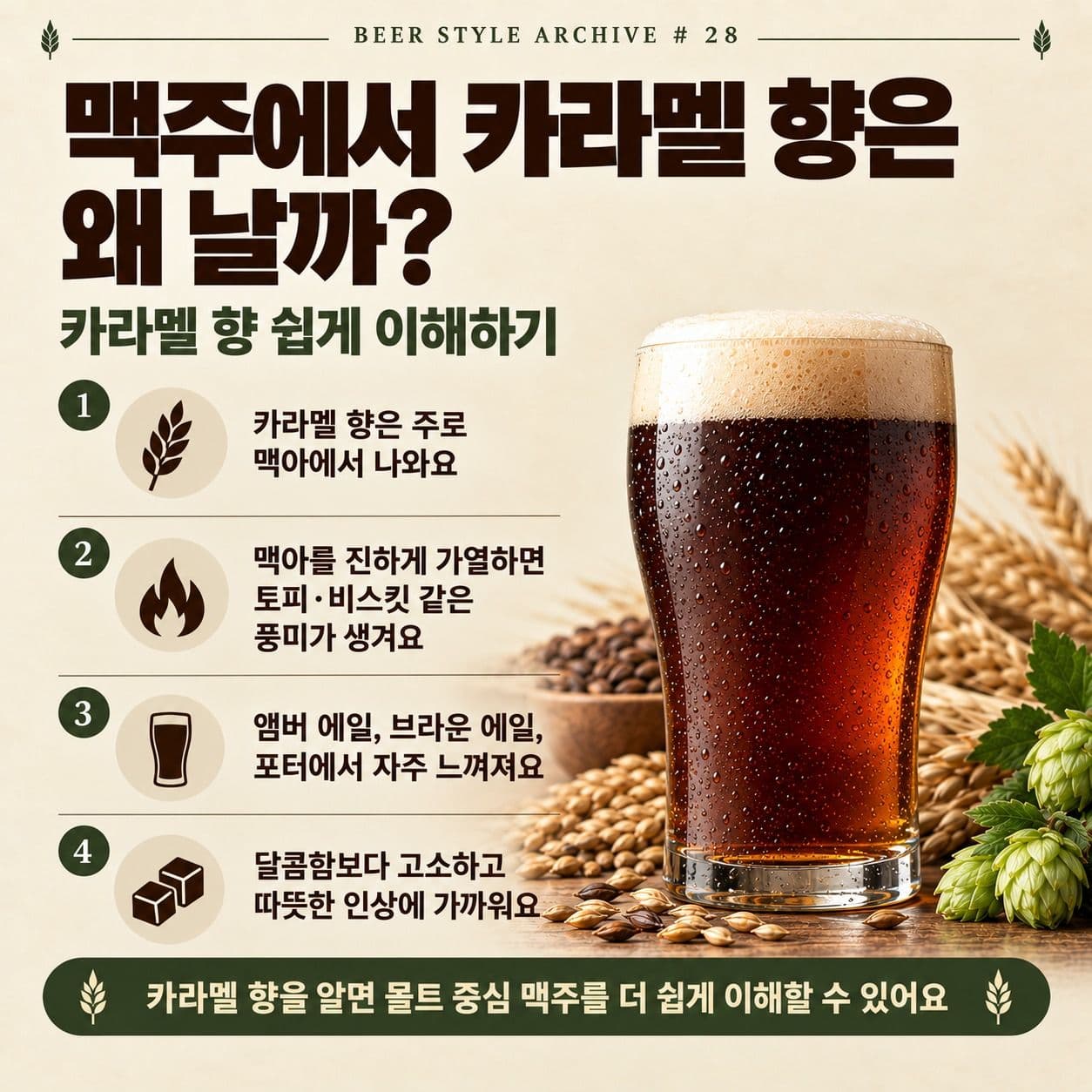 맥주에서 카라멜 향은 왜 날까? 몰트와 맥아 풍미 쉽게 이해하기